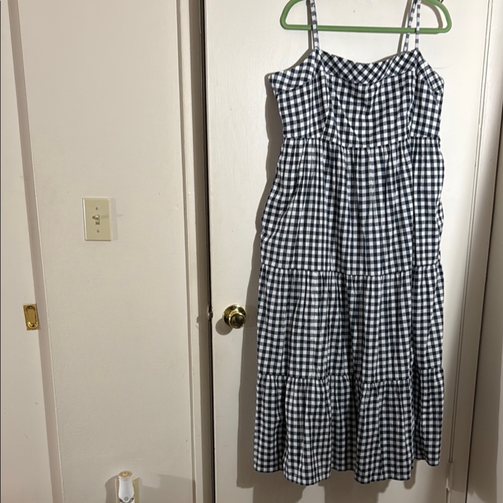 J. Crew Navy and White Gingham Dress